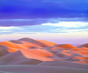 Images Dated 6th May 2014: USA, California, Glamis Sand Dunes at Sunset, CA