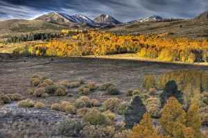USA, California. Landscape of Eastern Sierra Nevada Mountains from Conway Summit USA, California. Landscape of Eastern Sierra Nevada Mountains from Conway Summit