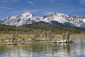 USA, California, Mono Lake. Mono Lake, off Californias Highway 395, with it's USA, California, Mono Lake. Mono Lake, off Californias Highway 395, with it's