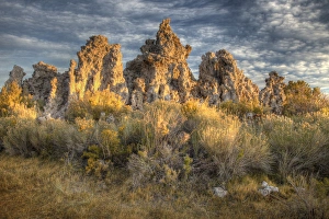 USA, California, Mono Lake. Sunrise on tufas and grass USA, California, Mono Lake. Sunrise on tufas and grass