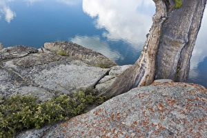 USA, California, Toiyabe National Forest. Rocks and tree on shore of Granite Lake USA, California, Toiyabe National Forest. Rocks and tree on shore of Granite Lake