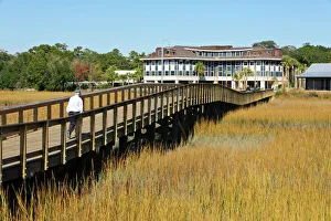 USA, Charleston, South Carolina. The boardwalk at Shem Creek Park in Mt USA, Charleston, South Carolina. The boardwalk at Shem Creek Park in Mt