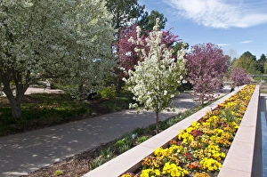 USA, CO, Denver. Denver Botanic Gardens located in central Denver USA, CO, Denver. Denver Botanic Gardens located in central Denver