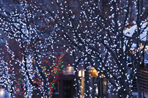 USA, Colorado, Aspen, Christmas lights on trees, Mill Street Mall USA, Colorado, Aspen, Christmas lights on trees, Mill Street Mall