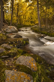 USA, Colorado. Autumn colors on Crestone Creek USA, Colorado. Autumn colors on Crestone Creek