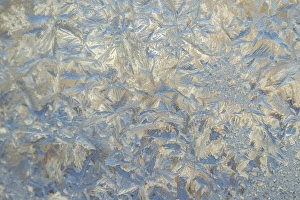 USA, Colorado. Close-up of frost and ice on glass USA, Colorado. Close-up of frost and ice on glass