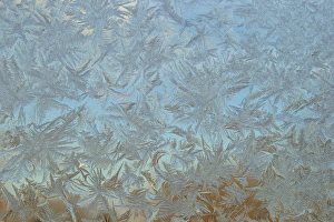 USA, Colorado. Frost on window pane. Credit as: Cathy & Gordon Illg / Jaynes Gallery USA, Colorado. Frost on window pane. Credit as: Cathy & Gordon Illg / Jaynes Gallery