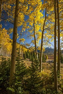 USA, Colorado. Landscape in San Juan Mountains USA, Colorado. Landscape in San Juan Mountains