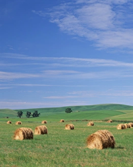 USA, Eastern Washington, Hay bales and clouds USA, Eastern Washington, Hay bales and clouds