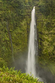 USA, Hawaii, The Big Island, Akaka Falls State Park, Akaka Falls. Scenic of single, long waterfall USA, Hawaii, The Big Island, Akaka Falls State Park, Akaka Falls. Scenic of single, long waterfall