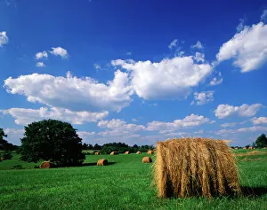 USA, Kentucky, Lexington, View of hay bales in field USA, Kentucky, Lexington, View of hay bales in field