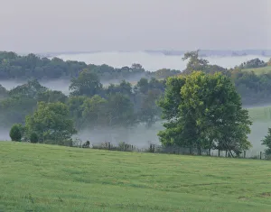 USA, Kentucky. Rolling hills of the Bluegrass region at sunrise USA, Kentucky. Rolling hills of the Bluegrass region at sunrise