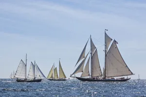 USA, Massachusetts, Cape Ann, Gloucester. Gloucester Schooner Festival USA, Massachusetts, Cape Ann, Gloucester. Gloucester Schooner Festival