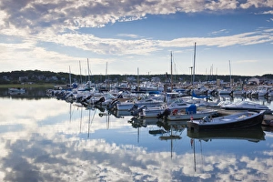 USA, Massachusetts, Cape Cod, Wellfleet, town marina, morning USA, Massachusetts, Cape Cod, Wellfleet, town marina, morning
