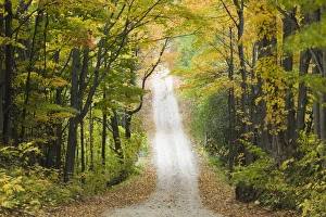 USA-Michigan-Lake Michigan Shore-Eastport: Country Road in Autumn USA-Michigan-Lake Michigan Shore-Eastport: Country Road in Autumn