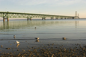 USA, Michigan, Mackinaw City, Mackinac Bridge USA, Michigan, Mackinaw City, Mackinac Bridge