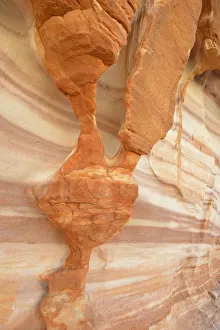 USA, Nevada, Valley of Fire State Park, Sculpted red sandstone USA, Nevada, Valley of Fire State Park, Sculpted red sandstone