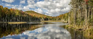 Adirondack Park Collection: USA, New York, Adirondacks. Autumn afternoon at Raquette Brook