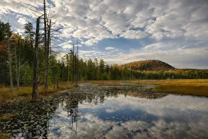 Adirondack Mountains Collection: USA, New York State. Reflections in pond in autumn, Adirondack Mountains