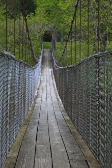USA; North America; Tennesse; Narrow foot bridge over stream in Tennessee USA; North America; Tennesse; Narrow foot bridge over stream in Tennessee