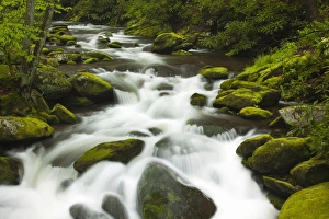 USA; North America; Tennesse; Stream at Roaring Fork Motor Trail in the Smokies USA; North America; Tennesse; Stream at Roaring Fork Motor Trail in the Smokies
