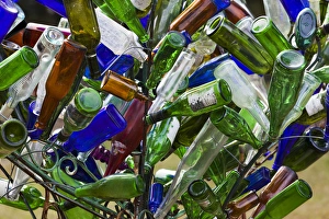 USA, North Carolina, Chapel Hill, bottle tree USA, North Carolina, Chapel Hill, bottle tree