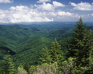 USA, North Carolina, View of Pisgah National Forest USA, North Carolina, View of Pisgah National Forest