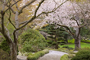 USA, Oregon, Ashland. Spring scenic in Lithia Park USA, Oregon, Ashland. Spring scenic in Lithia Park