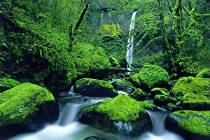 USA, Oregon, Columbia River Gorge National Scenic Area USA, Oregon, Columbia River Gorge National Scenic Area