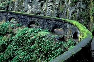 USA, Oregon, Columbia River Gorge NSA, fence along path to Shepherds Dell Falls USA, Oregon, Columbia River Gorge NSA, fence along path to Shepherds Dell Falls