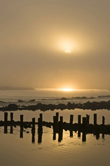 USA, Oregon. Foggy sunrise on Bandon Beach pilings USA, Oregon. Foggy sunrise on Bandon Beach pilings