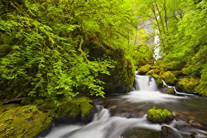 USA, Oregon. Lovely Elowah Falls on McCord Creek in the spring, in the Columbia Gorge, Oregon USA, Oregon. Lovely Elowah Falls on McCord Creek in the spring, in the Columbia Gorge, Oregon