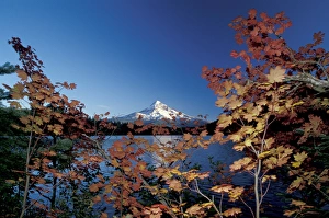 USA, Oregon, Mount Hood from Lost Lake, fall leaves USA, Oregon, Mount Hood from Lost Lake, fall leaves