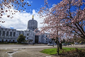 USA, Oregon, Salem, state capitol and Cherry Blossoms USA, Oregon, Salem, state capitol and Cherry Blossoms