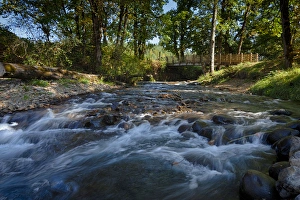 USA, Oregon, Scio, Crabtree Creek in early Autumn, from Larwood Wayside. Digital Composite USA, Oregon, Scio, Crabtree Creek in early Autumn, from Larwood Wayside. Digital Composite