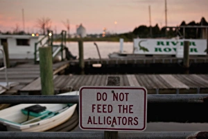 USA, South Carolina, Georgetown, Do Not Feed the Alligators warning sign on pier USA, South Carolina, Georgetown, Do Not Feed the Alligators warning sign on pier