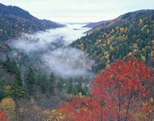 USA, Tennessee, Great Smokey Mountains National Park. Autumn view of foggy valley USA, Tennessee, Great Smokey Mountains National Park. Autumn view of foggy valley