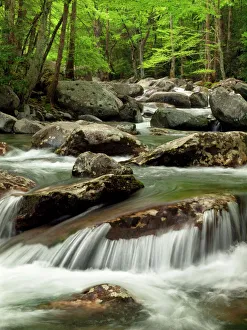 USA, Tennessee, Great Smoky Mountains National Park, Little Pigeon River at Greenbrier USA, Tennessee, Great Smoky Mountains National Park, Little Pigeon River at Greenbrier
