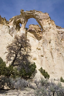USA - Utah. Grosvenor Arch in Grand Staircase - Escalante National Monument USA - Utah. Grosvenor Arch in Grand Staircase - Escalante National Monument