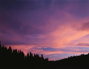 USA, Utah, View of Clouds and trees at Dixie National Forest USA, Utah, View of Clouds and trees at Dixie National Forest