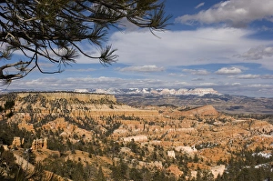 USA, Utha, Bryce Canyon National Park, Bryce Canyon USA, Utha, Bryce Canyon National Park, Bryce Canyon