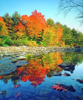 Images Dated 6th May 2014: USA, Vermont, Autumn Colors reflecting in a stream in Vermont