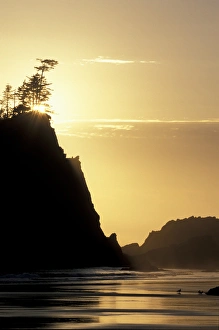 USA, WA, Olympic NP, Second Beach. Seastacks and reflections in Pacific Ocean USA, WA, Olympic NP, Second Beach. Seastacks and reflections in Pacific Ocean