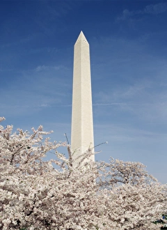 USA, Washington DC, View of Washington Monument USA, Washington DC, View of Washington Monument