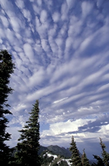 USA, Washington, Olympic NP Afternoon clouds atop Hurricane Ridge USA, Washington, Olympic NP Afternoon clouds atop Hurricane Ridge