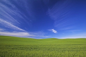 USA, Washington, Palouse Counrty, Rolling Hills of Spring Wheat and Wild Clouds USA, Washington, Palouse Counrty, Rolling Hills of Spring Wheat and Wild Clouds