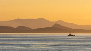 USA, Washington, San Juan Islands. Tugboat at sunset USA, Washington, San Juan Islands. Tugboat at sunset