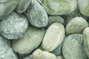 USA, Washington, Seabeck. Close-up of wet rocks USA, Washington, Seabeck. Close-up of wet rocks