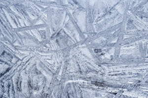 USA, Washington, Seabeck. Patterns on ice. Credit as: Don Paulson / Jaynes Gallery / DanitaDelimont USA, Washington, Seabeck. Patterns on ice. Credit as: Don Paulson / Jaynes Gallery / DanitaDelimont