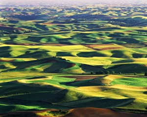 USA, Washington State, Eastern Washington, Palouse, Contour farming in Palouse farm USA, Washington State, Eastern Washington, Palouse, Contour farming in Palouse farm